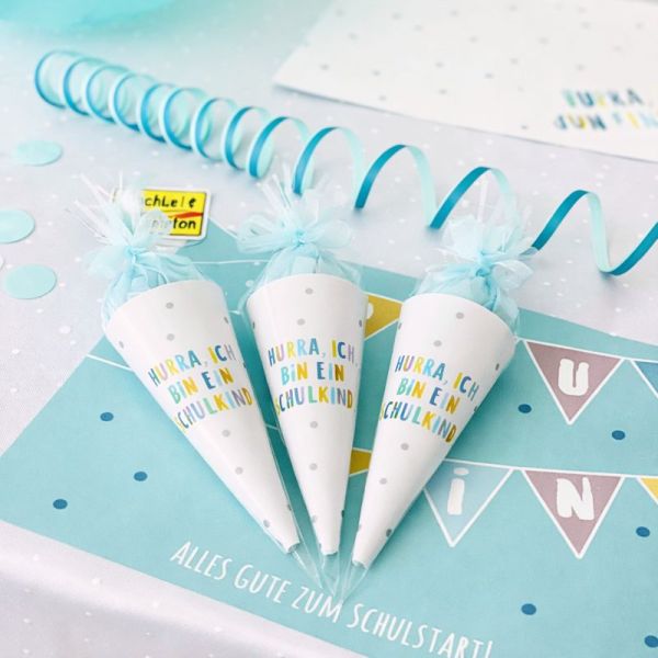 DIY Mini Schultüten Einschulung | Motiv Türkis | Deko & Gastgeschenk