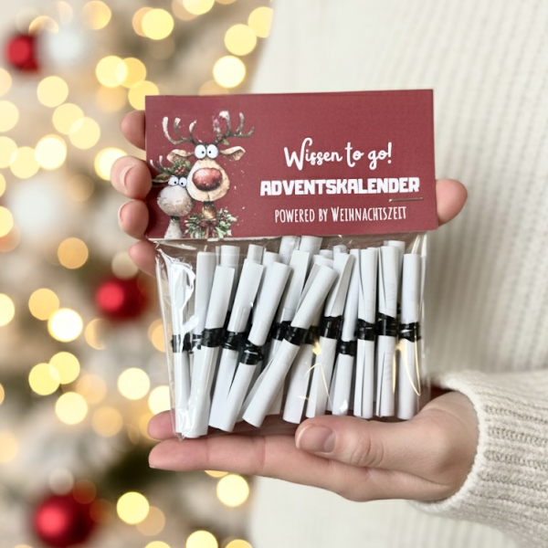 DIY Adventskalender Lose „Unnützes Wissen für Klugscheißer“ – Lustiger Adventskalender zum Ausdrucke