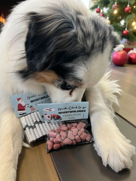 DIY Hunde Adventskalender Download | Fun Facts & Leckerli Set | Lustiger Adventskalender für Hundeli