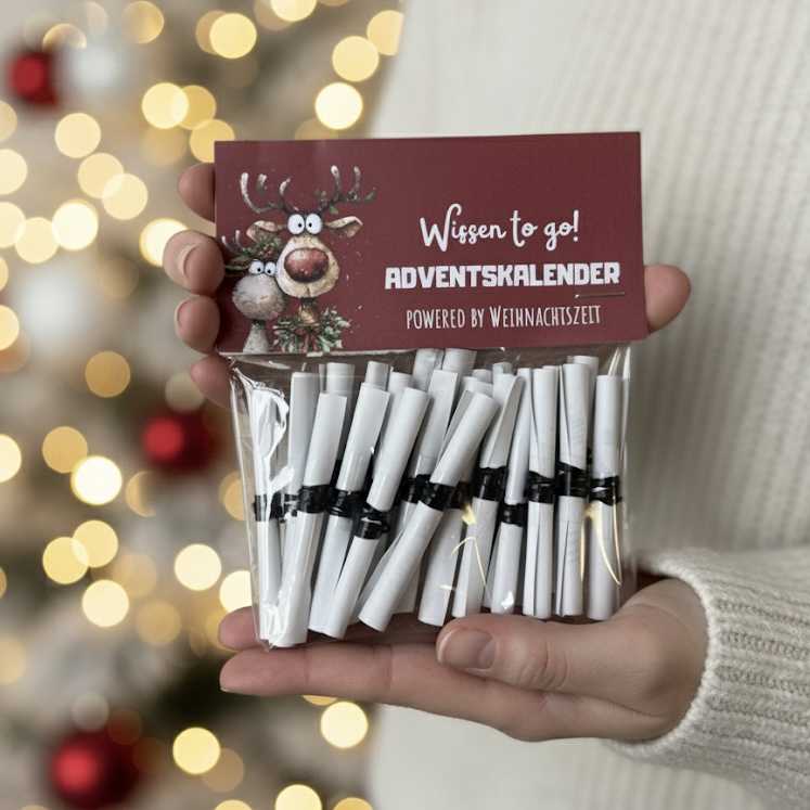 DIY Adventskalender Lose Unntzes Wissen fr Klugscheier  Lustiger  Adventskalender zum Ausdrucken & Basteln | Weddingtree